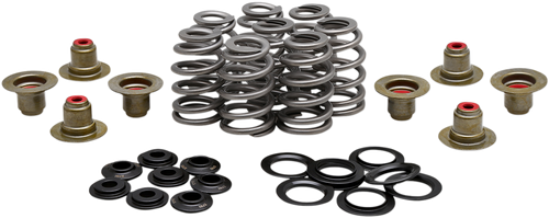 Kibblewhite Beehive Spring Kit - 0.625" Lift - M8 | Cvo 20-21850