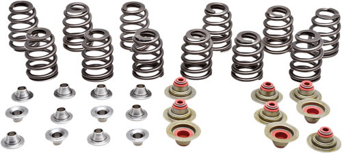 Kibblewhite Beehive Spring Kit - 0.350" Lift - Can Am | Rotax Ace 900 Cc Triple Engines 91-91300