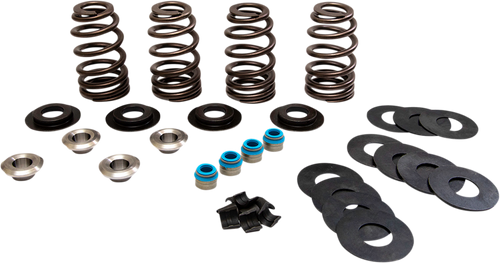 Feuling Parts Valve Spring Kit - Ti Retainers - For 5/16" Valve Stem - Evo | Twin Cam 1122