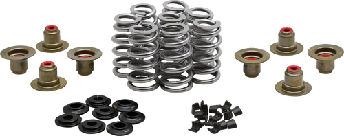 Kibblewhite Beehive Spring Kit - 0.640" Lift - M8 | Cvo 20-24400