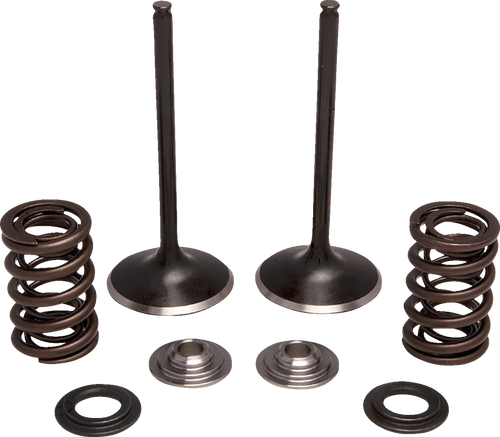 Moose Offroad Valve And Spring Kit - Intake - Honda M30-34350