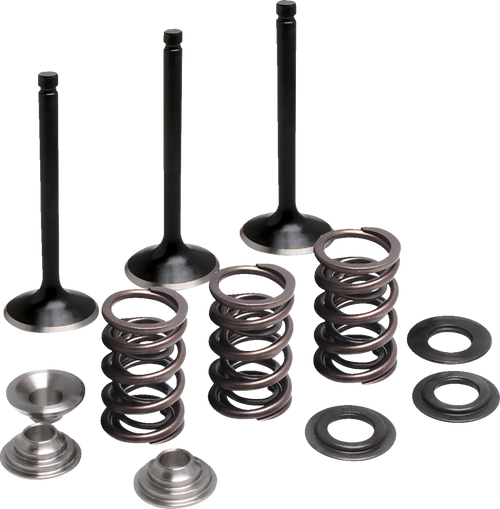 Moose Offroad Valve And Spring Kit - Intake - Yamaha M80-83050