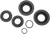 Moose Offroad Differential Seal Kit - Honda - Rear 25-2111-5