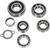 Hot Rods Bearing Kit - Transmission/Replacement - Suzuki Lt-R 450 TBK0056