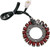Rick'S Motorsport Electric Stator - Honda 21-118