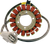 Rick'S Motorsport Electric Stator - Honda 21-613H
