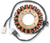 Rick'S Motorsport Electric Stator - Arctic Cat 21-059