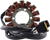Rm Stator Stator - Kawasaki RMS010-102129