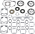 Vertex Complete Gasket Set With Seals - Polaris 611802