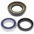 All Balls Rear Wheel Bearing Kit 25-1123