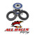 All Balls Wheel Bearing Kit 25-1491