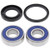 All Balls Wheel Bearing Kit 25-1380