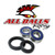 All Balls Wheel Bearing Kit 25-1384