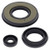 Vertex Engine Oil Seal Kit 55199