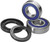 Prox Rearwheel Bearing Set Rm125 '95-99 + Rm250 '96-99 23.S112043