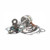 Hot Rods Hotrod'S Bottom End Kit (Cbk0081) CBK0081