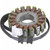 Rick'S Motorsport Electric New Oem Style Hyosung Stator 21-007