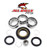 All Balls Differential Kit. 25-2079