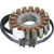 Rick'S Motorsport Electric Oe Style Stator 21-420