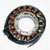 Rick'S Motorsport Electric Oe Style Stator 21-008
