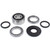 All Balls Racing Differential Bearing And Seal Kit 25-2115
