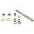 Pivot Works Swing Arm Kit Gas Bike PWSAK-G02-001