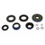 All Balls Racing Transaxle Seal Kit Cf 25-2085-5