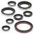 Vertex Engine Oil Seal Kit 822364