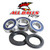 All Balls Wheel Bearing And Seal Kit 25-1606