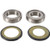 Pivot Works Steering Stem Bearing Kit PWSSK-Y10-000