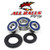 All Balls Wheel Bearing Kit 25-1344