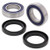 All Balls Rear Wheel Bearing Kit - Both Wheels 25-1124