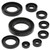 Vertex Engine Oil Seal Kit 822351