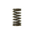 Psychic Exhaust Valve Spring XU-09541ES