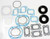 Spi Full Set W/Oil Seals 09-711023C
