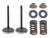 Psychic Exhaust Valve Kit XU-09562IK