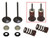 Psychic Intake Valve Kit XU-09531IK