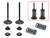 Psychic Intake Valve Kit XU-09556IK