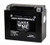 Yuasa Ytx9 Factory Activated Maintenance Free 12 Volt Battery YUAM729BSTWN