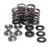 Kibblewhite Valve Spring Kit .450" Lift 80-80030