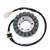 Electrosport Stator Kawasaki Zx6-R ESG636