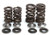 Kibblewhite Valve Spring Kit .440" Lift 30-30920