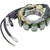 Wildboar Audio Charging Stator 340-22017
