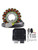 Rm Stator Rmstator + Mosfet Regulator RMS900-107068