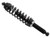 Bronco Gas Shock Rear - Cfmoto AU-04484