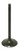 BRONCO Intake Valve AU-09191I