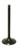 BRONCO Intake Valve XU-09518I