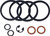 HAWG HALTERS INC Sprkt/ Brake Cal Rebuild Kit HHI-351-002
