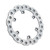 JT Rear Brake Rotor Ss Self Cleaning Suz JTD3100SC01