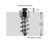 IGRIP 11Mm Standard Screw Studs Qty 100 ST-11100
